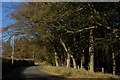 The Lough Road near Carrickfergus