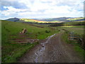 NT6008 : Farm track on east side of Wolfelee Hill by Iain Macaulay
