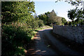 Lane to Dove Cottage