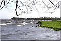 H9680 : Lough Neagh at Kinturk by Kenneth  Allen