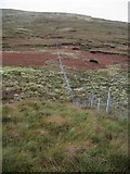 NG4750 : Behind the Trotternish Ridge by John Allan
