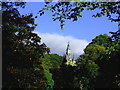 Morgan Academy Through Trees of Baxter Park