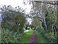 Neston (Moorside) - view along the Wirral Way