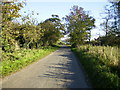 The country lane that runs through Dalby