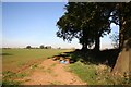 View to St.Helena Farm from Kirton Road