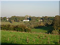 View from Bower Lane near Romney Street