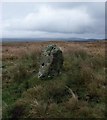 NR4064 : Standing stone near Kilmeny, Islay by Claire Pegrum