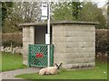 Sheep at bus shelter