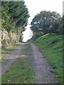 Farm Track, near Swayne