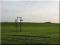 Fields outside Cowie.