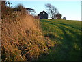 Ruined barn on Drunkards Hill