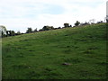 Farmland opposite New Town