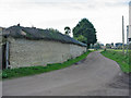 Cob wall South Charford Farm