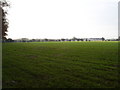 Field on Higher Bridmore Farm