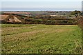 Farmland near Tresawsen