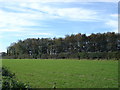 Farmland at Swayne