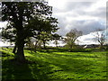 Mayburgh Henge, south-western part, Yanwath and Eamont Bridge