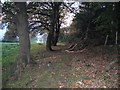 SJ3157 : Ancient track near Bridge End, Caergwrle by John S Turner