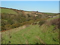 Ayleston Brook valley