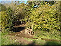 Stream through gateway near Wastor