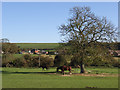 Farmland, Aughton