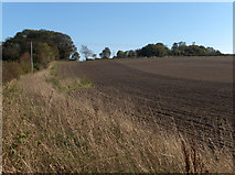 SU2553 : Farmland, Collingbourne Ducis by Andrew Smith
