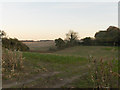 Farmland near Gammon