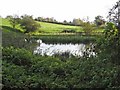 Pond near Cowling