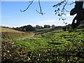 Valley near Caer-Estyn