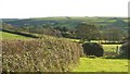 Towards Knighton Coombe