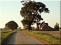 Wolves Hall Lane, heading towards Tendring Green