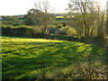 Field at Stoverlake