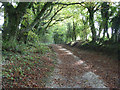 Bridleway, Hippenscombe