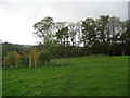 Footpath by Woodfield Farm