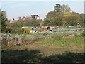 Allotments In East Dereham