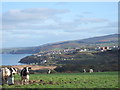 Pastureland  above Wdig/Goodwick