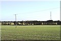 View across fields near Tillingham