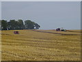 Harvest on Pitkerrie Farm