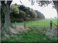 Woods on Whipley Moor