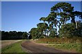 Track to Canada Farm