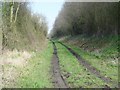 ST9295 : Tetbury Branch Line Near Culkerton by Paul Best