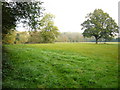 Field looking towards Tyler Hill