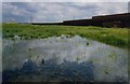 TQ5479 : Standing Water on Aveley Marshes SSSI, firing range butts nearby by David Leeming