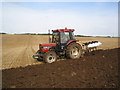 Ploughing in Salcombe