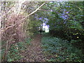 Footpath near Ladybank House