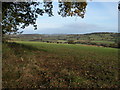 Farmland to the south of Llangua