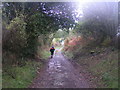 Towards Littlebeck Lane