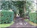 The Driveway To Beck Farm, Dykebeck