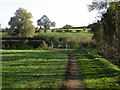 Rural Scene