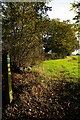 Footpath to Charity Lane